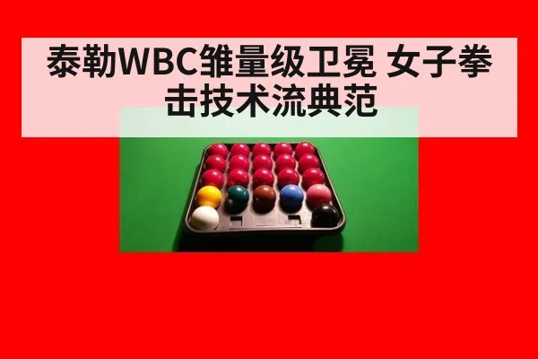 泰勒WBC雏量级卫冕 女子拳击技术流典范